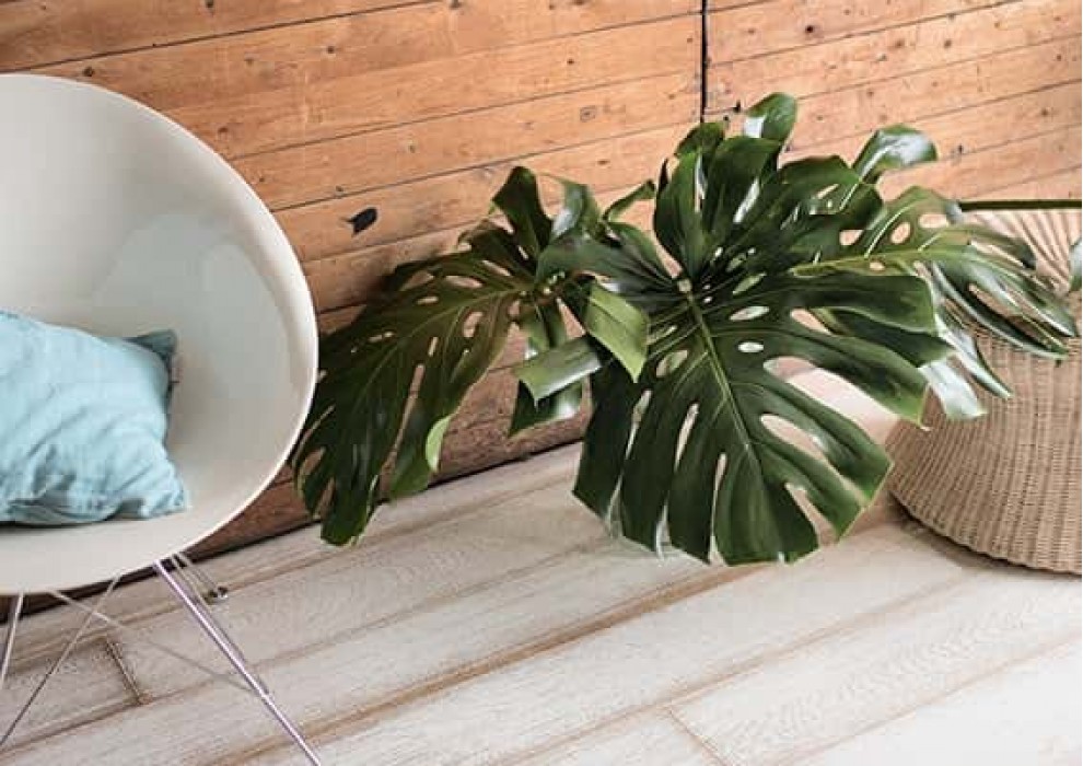 Timberwise - Beach House White
